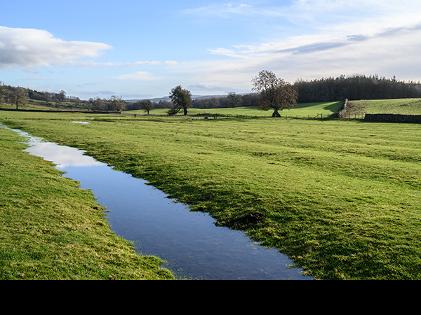 Ridge and furrow