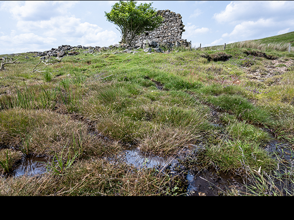 Bog with methane