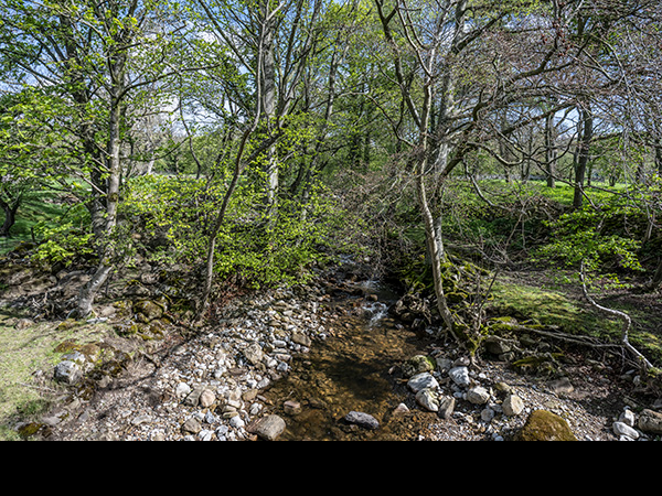 Apedale Beck