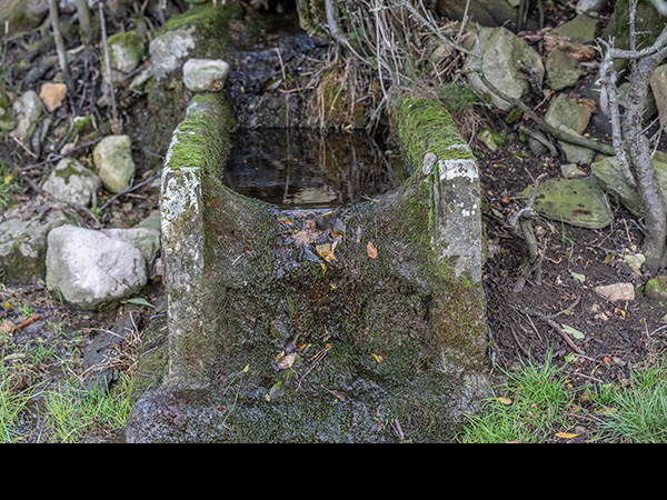 Farm water trough