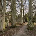 Churchyard