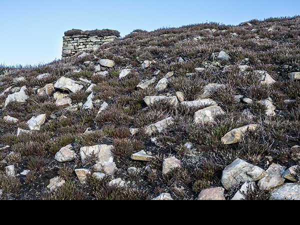 Millstone Grit surface life